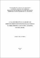 Adriana Kulaif Terra.pdf.jpg
