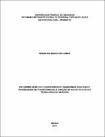 sebastiao marcelice.pdf.jpg