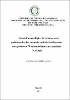 Dissertação - Márcia Caroline Pires Vilhena.pdf.jpg