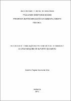 Dissertação - Caroline Regina Soares da Silva.pdf.jpg