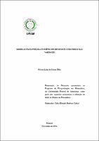 Dissertação - Nelson Lima de Souza Filho.pdf.jpg