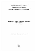 Dissertação - Thaís Marcela Fernandes do Nascimento.pdf.jpg