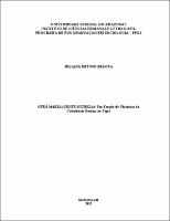 Dissertação - Juliana Mitoso Belota.pdf.jpg