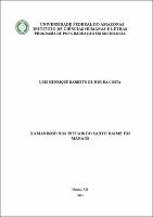 Dissertação_Luiz Henrique Barreto de Moura Costa.pdf.jpg