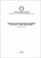 Dissertação - Reysi Jhayne Pegorini.pdf.jpg