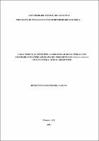 Dissertação - Henriette Soares Pereira Paskinn.pdf.jpg