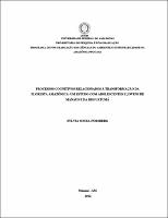 Dissertacao - Sylvia Souza Forsberg.pdf.jpg