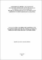 Dissertação - Moisés Augusto Tavares Pinto.pdf.jpg