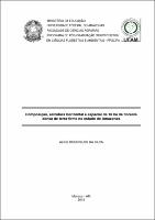 Dissertação - Alice Rodrigues da Silva.pdf.jpg