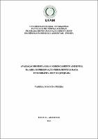 Dissertação - Vanessa de Moura Pereira.pdf.jpg