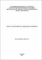 Paulo Roberto de Sousa - Dissertação.pdf.jpg