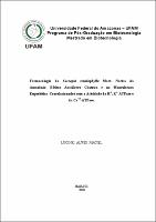 Dissertação - Lucinei Alves Maciel.pdf.jpg