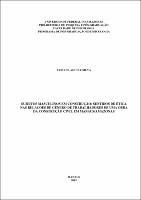 Dissertação - Fabiane Aguiar Silva.pdf.jpg