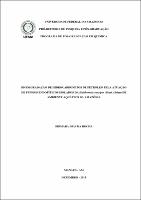 Dissertação- Siomara Dias da Rocha.pdf.jpg