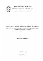 Dissertação- Siomara Dias da Rocha.pdf.jpg