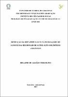 Dissertação- Helaine Virgolino.pdf.jpg