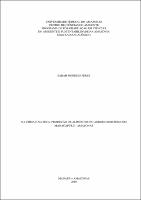 Dissertação - Sarah M. Perez.pdf.jpg