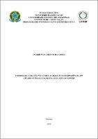 Dissertação - Ingrid N. Costa.pdf.jpg