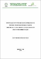 Tese - Luiz F. R. Silva.pdf.jpg