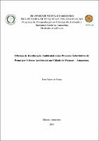 Dissertação - Ivan N. Souza.pdf.jpg