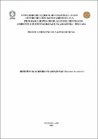 Dissertação -  Priscila T. C Silva.pdf.jpg