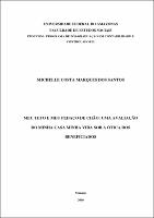 Dissertação - Michelle C. M. Santos.pdf.jpg