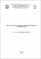 Dissertação - Wellem A. P. Campos.pdf.jpg