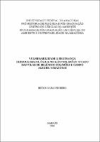 Dissertação - Heitor P. Pinheiro.pdf.jpg
