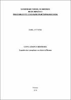 Dissertação  - Isabel Wittmann.pdf.jpg