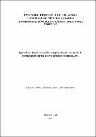 Dissertação - Jakson D. R. Albuquerque.pdf.jpg