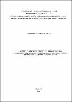 Dissertação - Gerson N. Silva.pdf.jpg