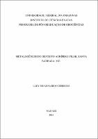 Dissertação - Lady J. R. Guerrero.pdf.jpg