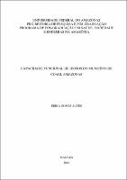 Dissertação - Erika G. Alves.pdf.jpg