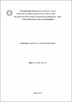 Dissertação - Sibely S. Souza.pdf.jpg