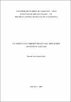 Dissertação - Ezequiel S. brasil.pdf.jpg