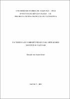 Dissertação - Ezequiel S. brasil.pdf.jpg