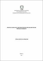 Dissertação - Flávia C. L. Dias.pdf.jpg
