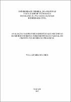 Dissertação - Wallace M. Belchior.pdf.jpg