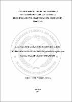 Dissertação - Fabio C. P. Souza.pdf.jpg