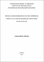 Tese - Carlos S. Ferreira.pdf.jpg