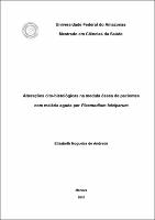 Dissertação - Elizabeth N. Andrade.pdf.jpg