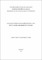 Dissertação  - Carlos A. B. Camaro.pdf.jpg