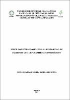 Dissertacão - Giselle K.B.B Souza.pdf.jpg