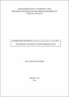 Tese - Joel L. Silva Junior.pdf.jpg