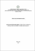 Dissertação_Jéssica Marinho Martins Sakuta.pdf.jpg