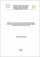 Dissertação - Karen Balieiro.pdf.jpg