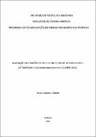 Dissertação_Paulo_Amaral_Júnior.pdf.jpg