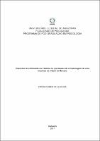 Dissertação_Eweni Gomes de Oliveira.pdf.jpg