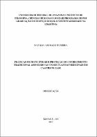 Dissertação_Natalia A. Teixeira.pdf.jpg