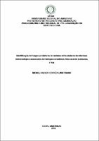 Dissertação_Michel N. . L. Chamy.pdf.jpg